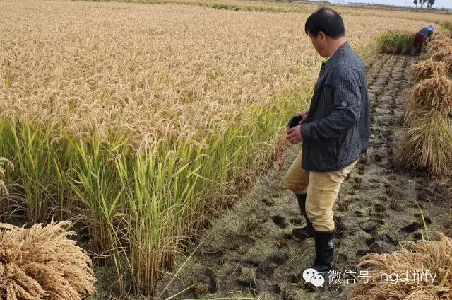 哈爾濱工大集團(tuán)沈陽(yáng)津瑞肥業(yè)有限公司