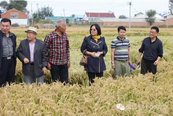 哈爾濱工大集團沈陽津瑞肥業(yè)有限公司