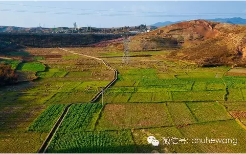 【自然有道理】農(nóng)業(yè)部喊話：土壤亞健康，要配方施肥和增施有機質(zhì)